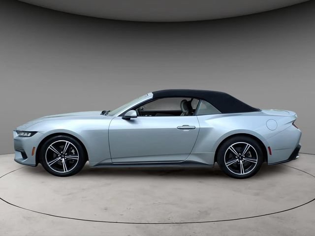 Used 2024 Ford Mustang Premium RWD image 2