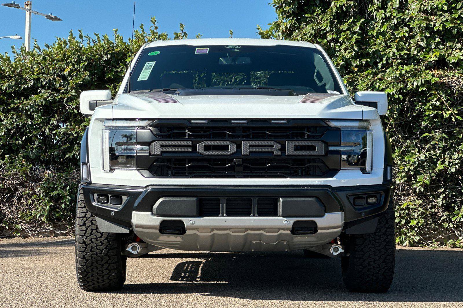 New 2025 Ford F150 Raptor image 2