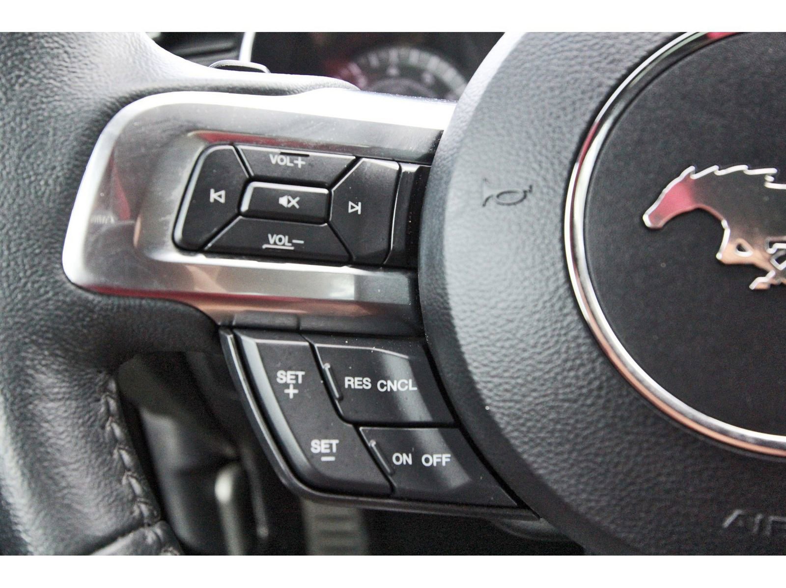 Used 2019 Ford Mustang EcoBoost image 15