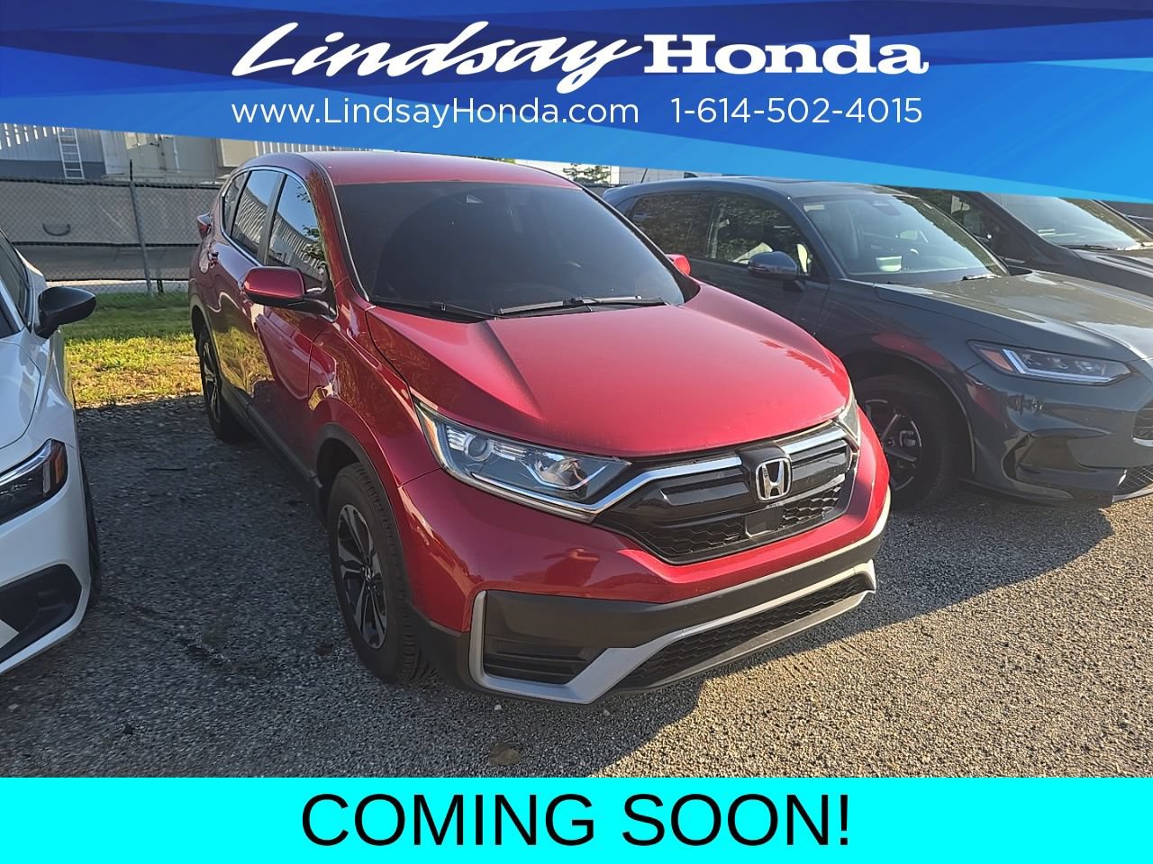 Used 2021 Honda CR-V Special Edition image 3