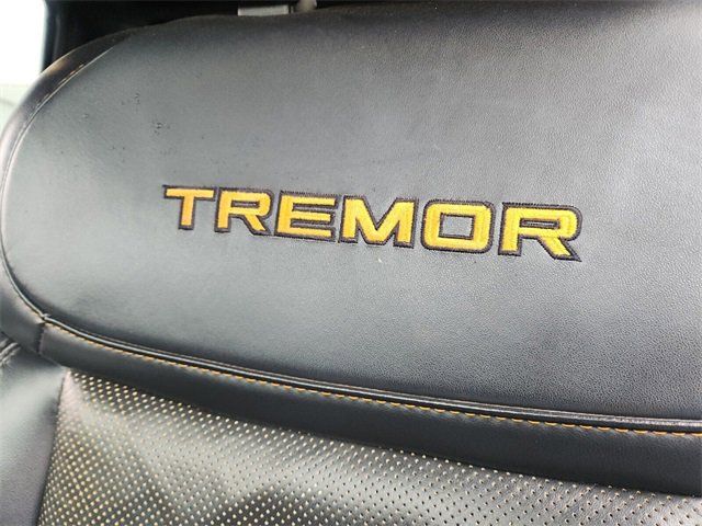 Used 2021 Ford F150 Tremor w/ Equipment Group 402A High image 17