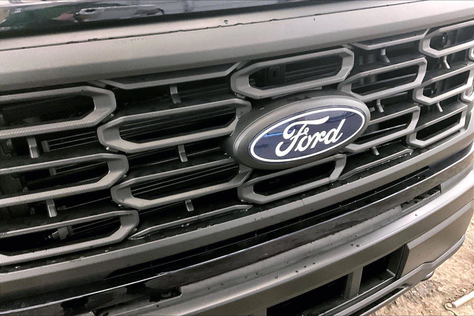 New 2025 Ford F150 XL image 29