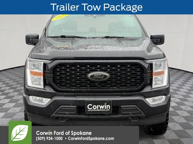 Used 2022 Ford F150 XL w/ STX Black Appearance Package image 8