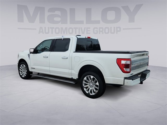 Used 2023 Ford F150 Limited image 3
