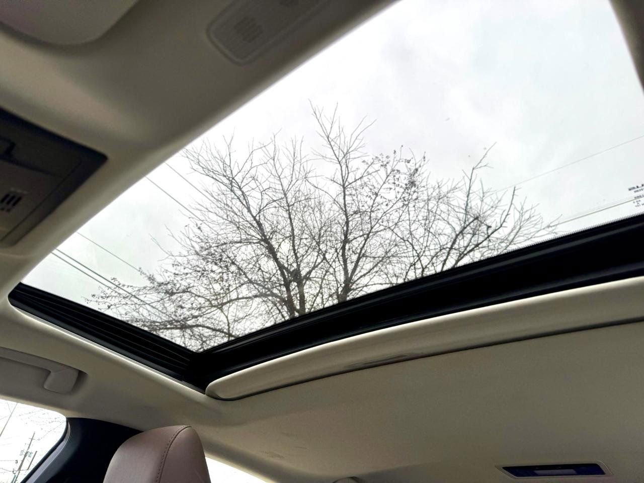 Used 2023 Lexus ES 350 w/ Premium Package image 13