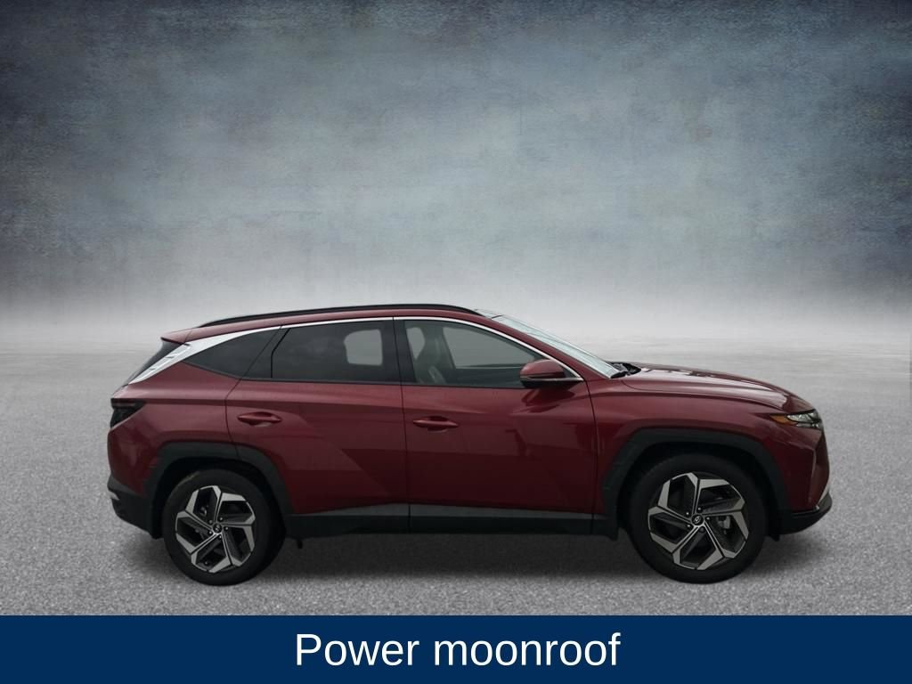 Used 2024 Hyundai Tucson Limited image 7
