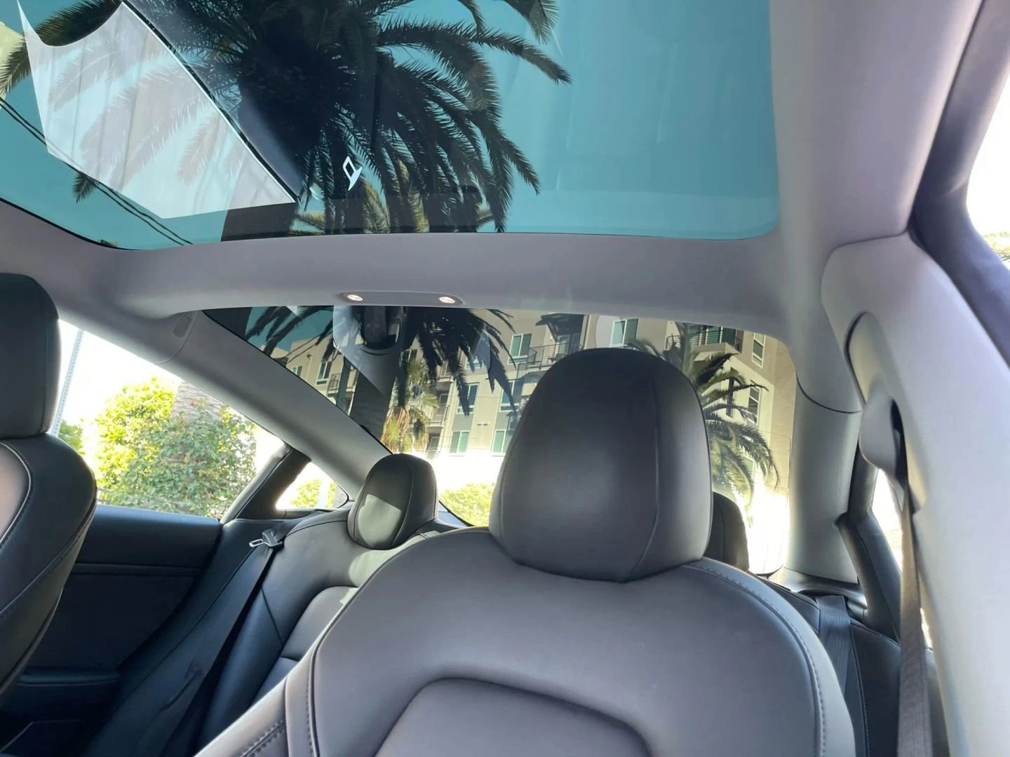 Used 2019 Tesla Model 3 Standard Range Plus image 10