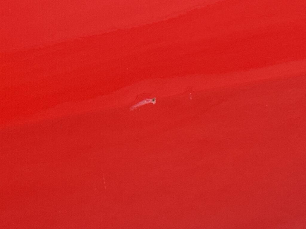 Used 2014 MAZDA MAZDA2 Sport FWD image 29