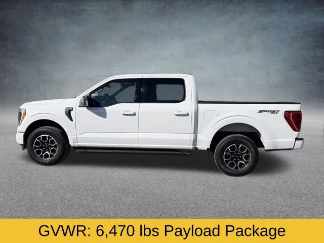 Used 2022 Ford F150 XLT w/ Equipment Group 302A High image 12