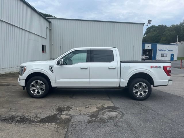 Used 2021 Ford F150 Platinum w/ Equipment Group 701A High AWD/4WD image 9