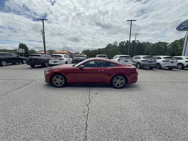 Used 2015 Ford Mustang Premium w/ Equipment Group 201A RWD image 2