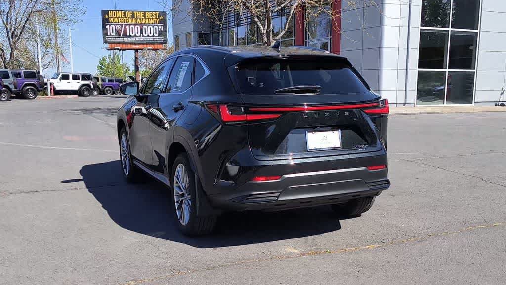 Used 2025 Lexus NX 350h AWD w/ Luxury Package image 7
