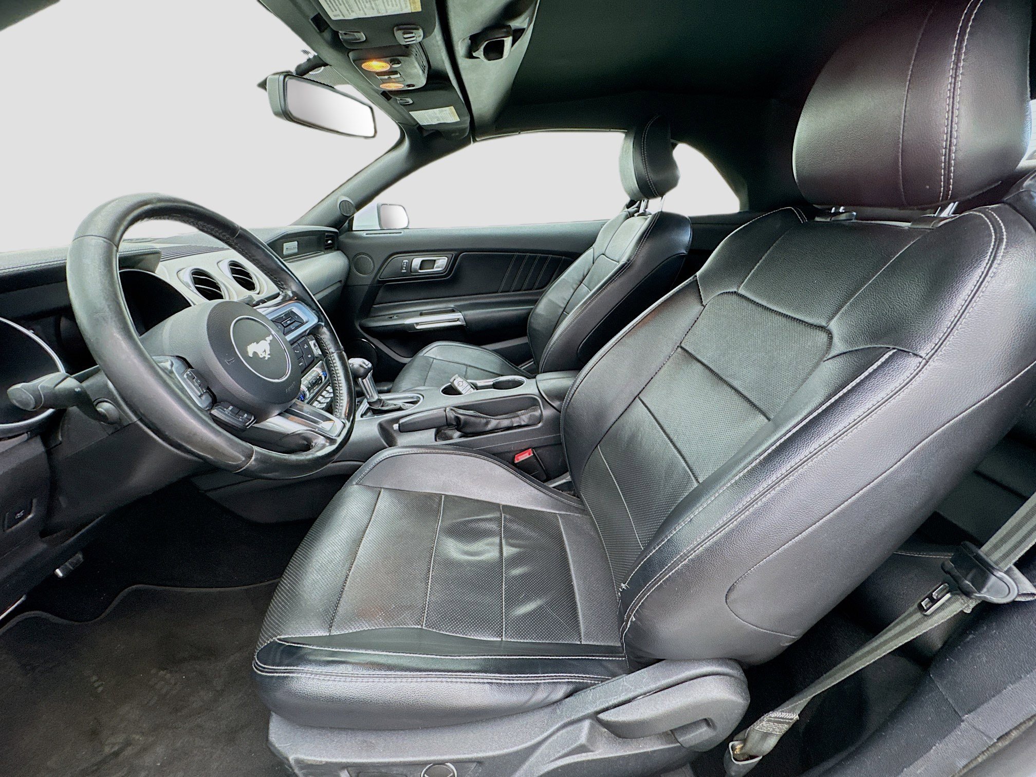 Used 2019 Ford Mustang Premium image 13