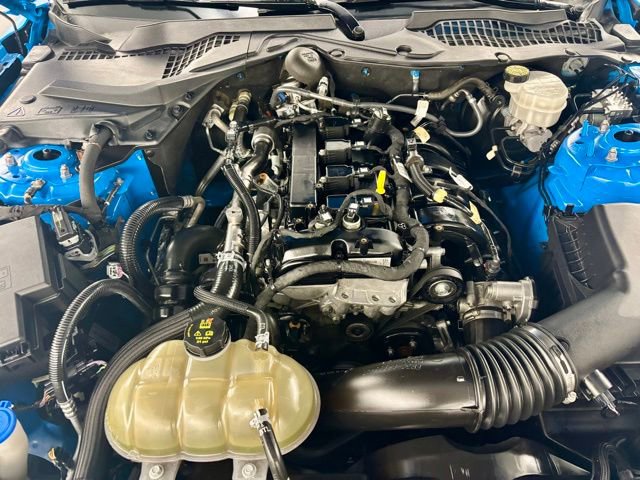 Used 2023 Ford Mustang Coupe w/ Equipment Group 101A RWD image 33