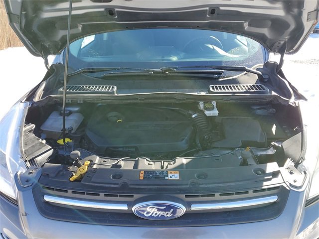 Used 2014 Ford Escape SE w/ SE Chrome Package image 27