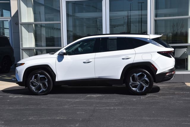 Used 2024 Hyundai Tucson Limited image 11
