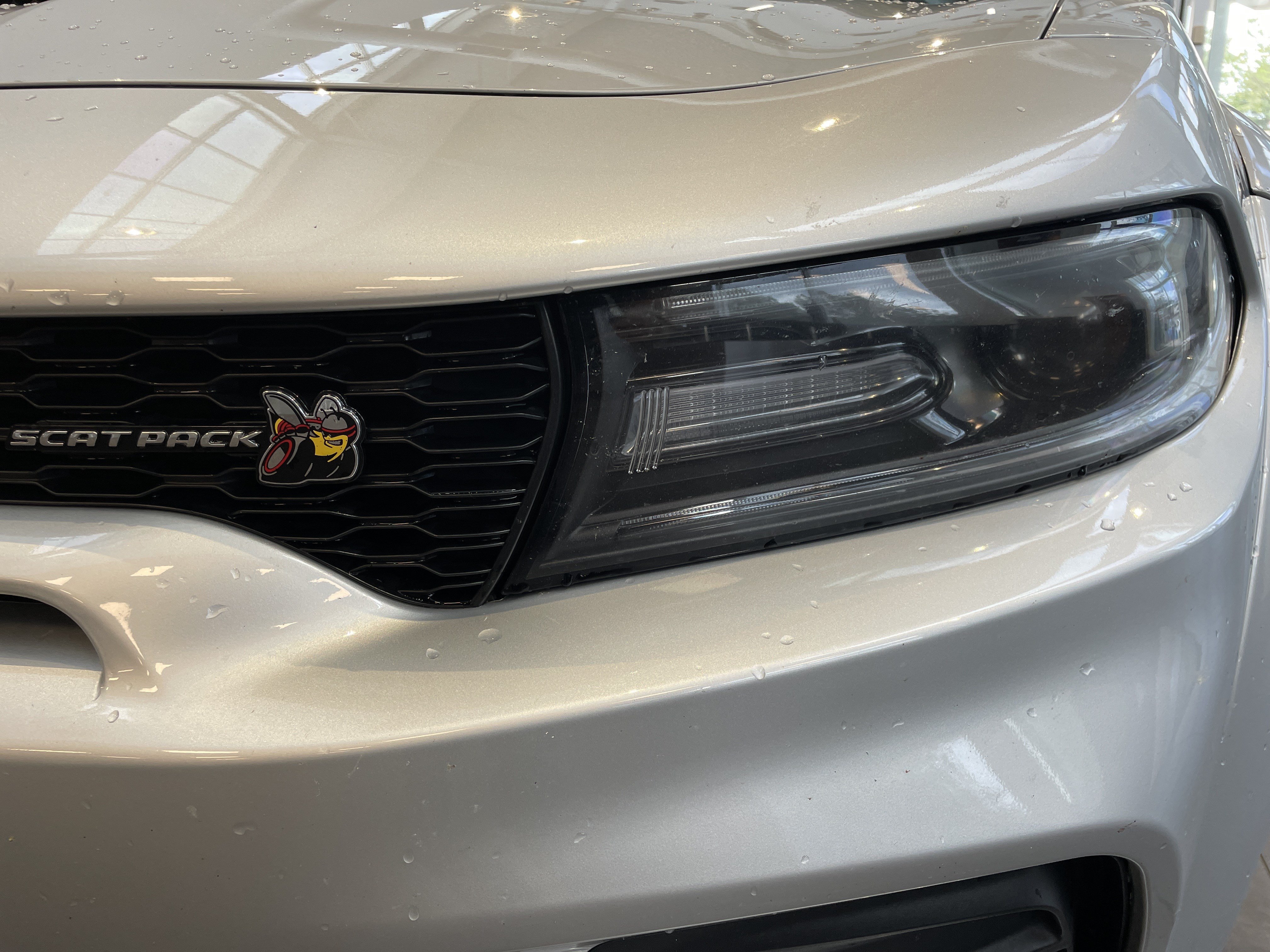 Used 2021 Dodge Charger Scat Pack RWD image 5