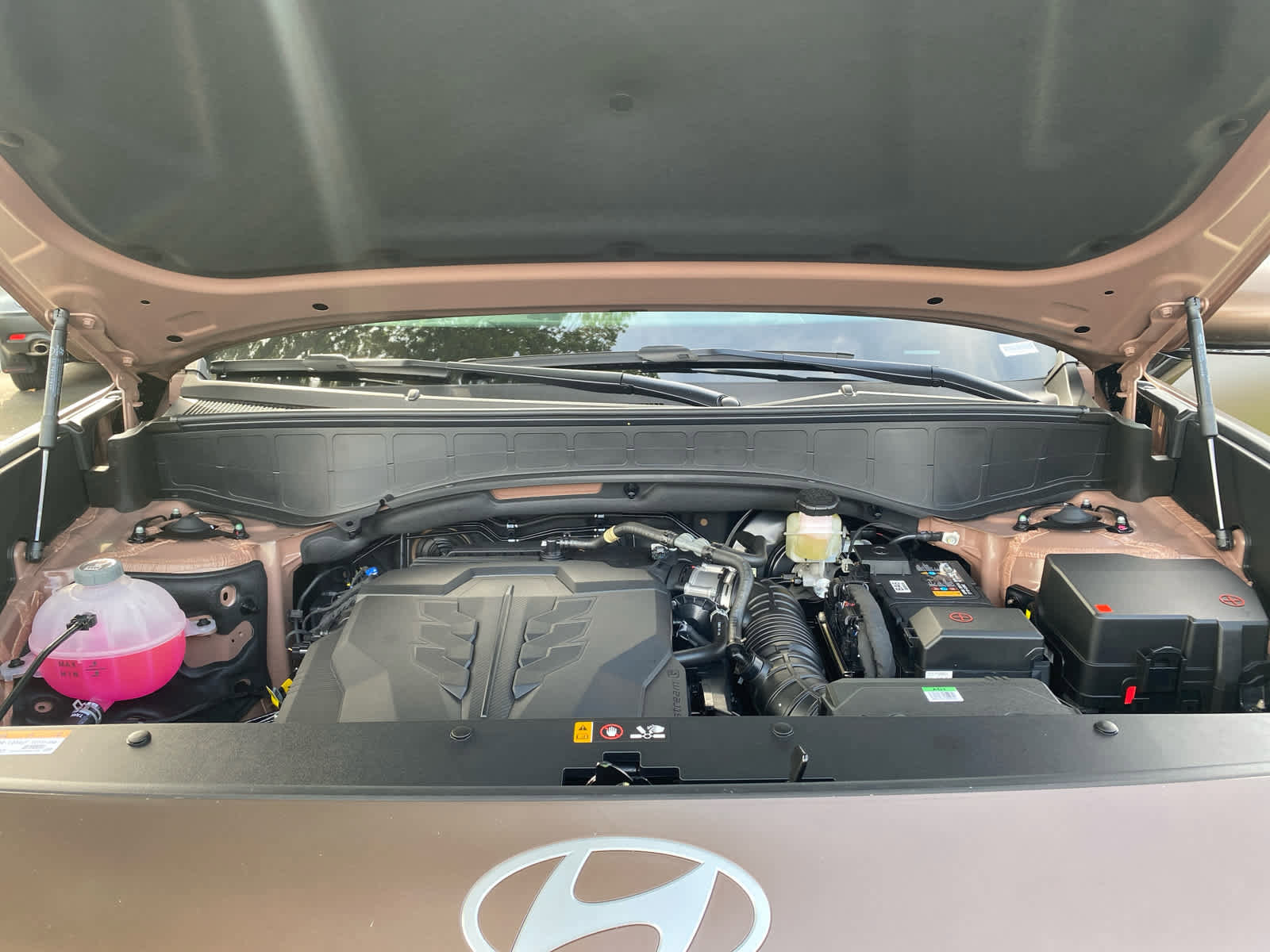 New 2026 Hyundai Palisade Calligraphy image 14