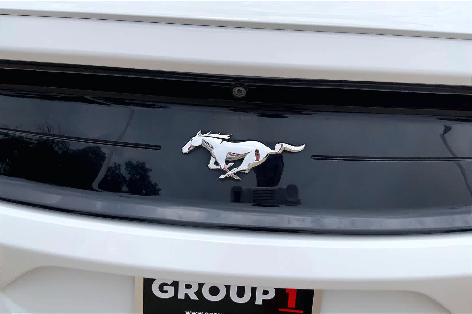 Certified 2019 Ford Mustang Premium RWD image 10
