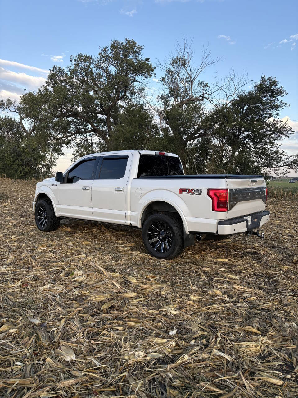 Used 2017 Ford F150 Platinum w/ Equipment Group 701A Luxury image 7