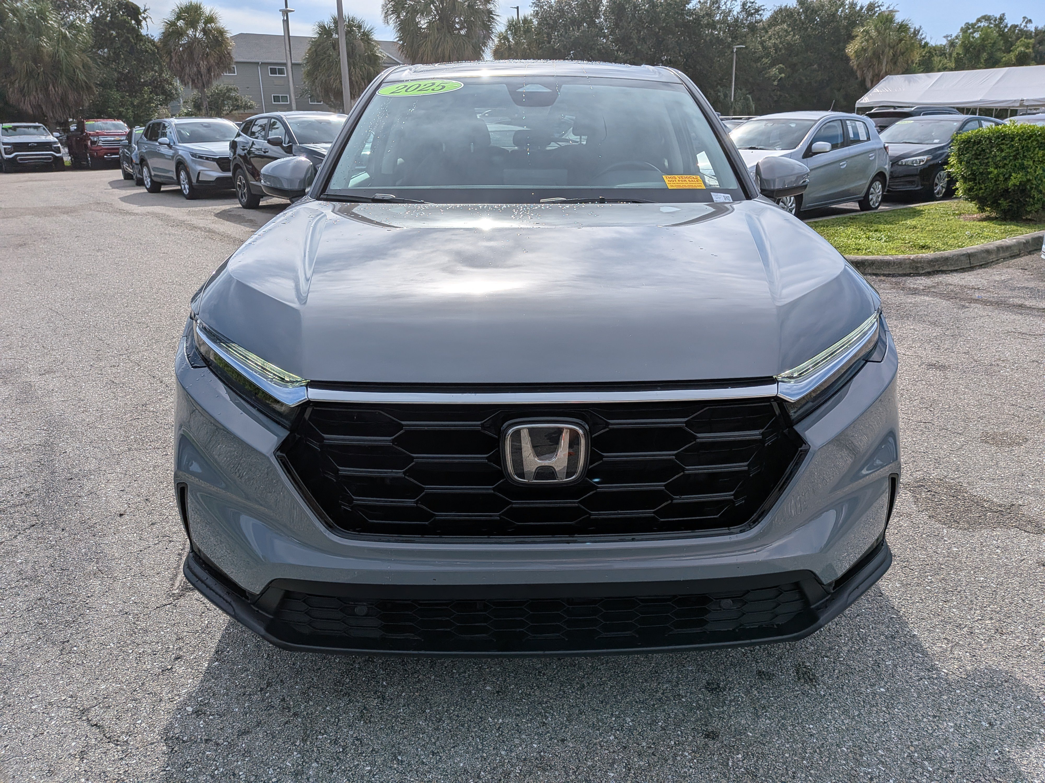 Used 2025 Honda CR-V EX-L image 9