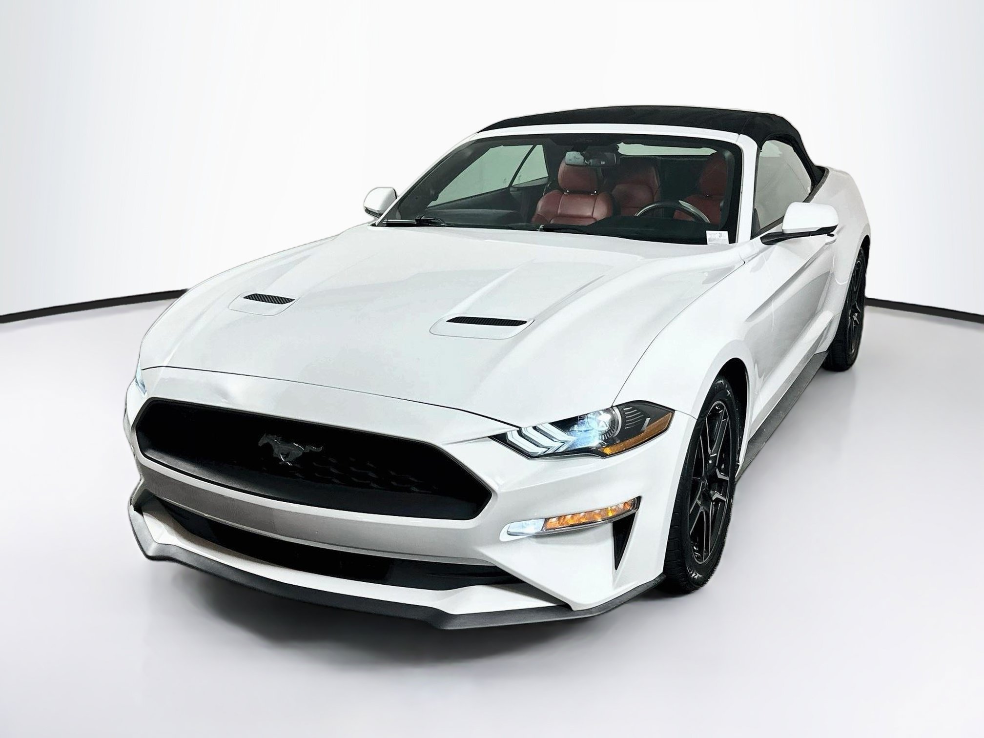 Used 2018 Ford Mustang Premium w/ Equipment Group 201A RWD image 3