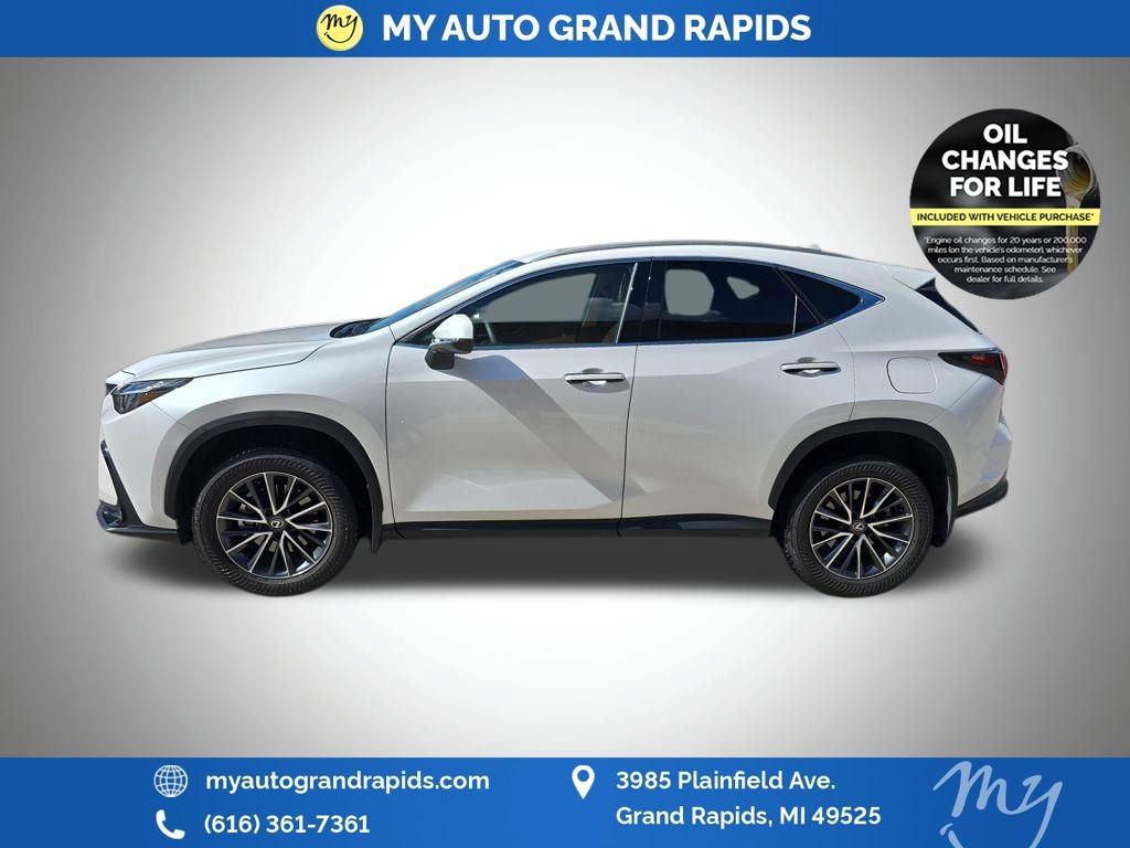 Used 2024 Lexus NX 350 AWD w/ Cold Area Package image 8