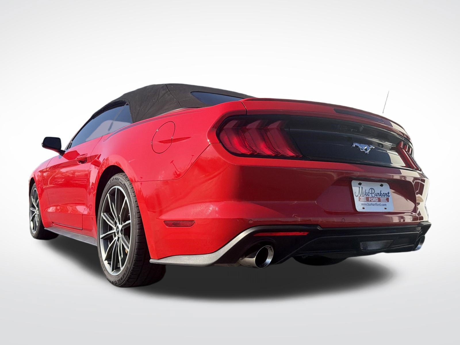 Used 2019 Ford Mustang Premium w/ Equipment Group 201A RWD image 15