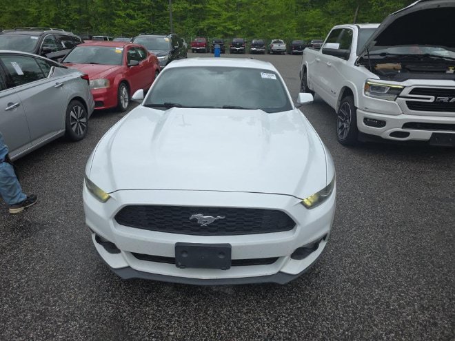 Used 2016 Ford Mustang Premium w/ Equipment Group 201A RWD image 2