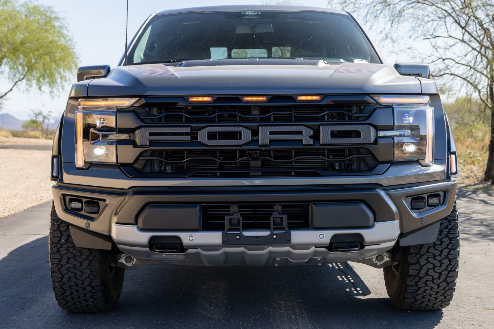 Used 2025 Ford F150 Raptor image 5