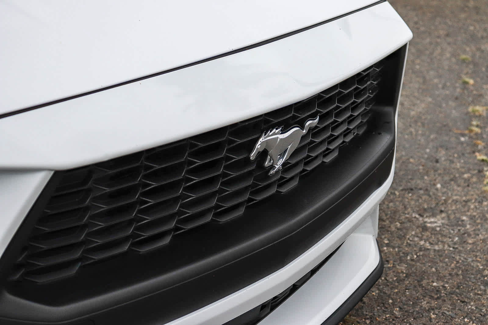 Used 2024 Ford Mustang Premium RWD image 6