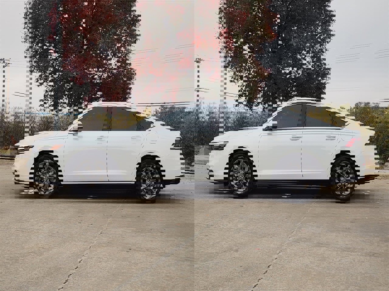 Used 2024 Honda Accord EX-L image 4