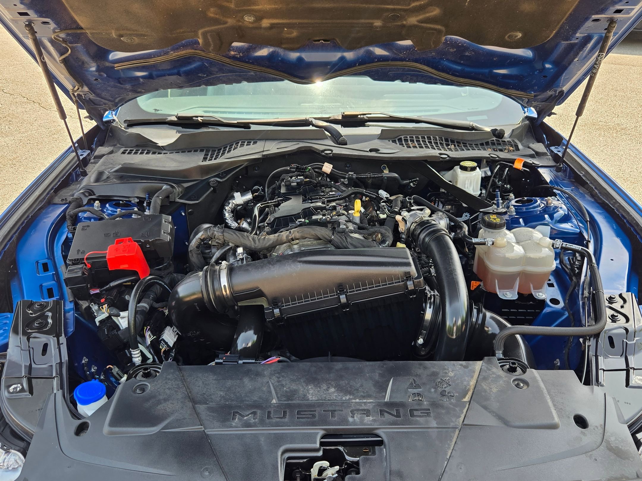 Used 2024 Ford Mustang Premium RWD image 29