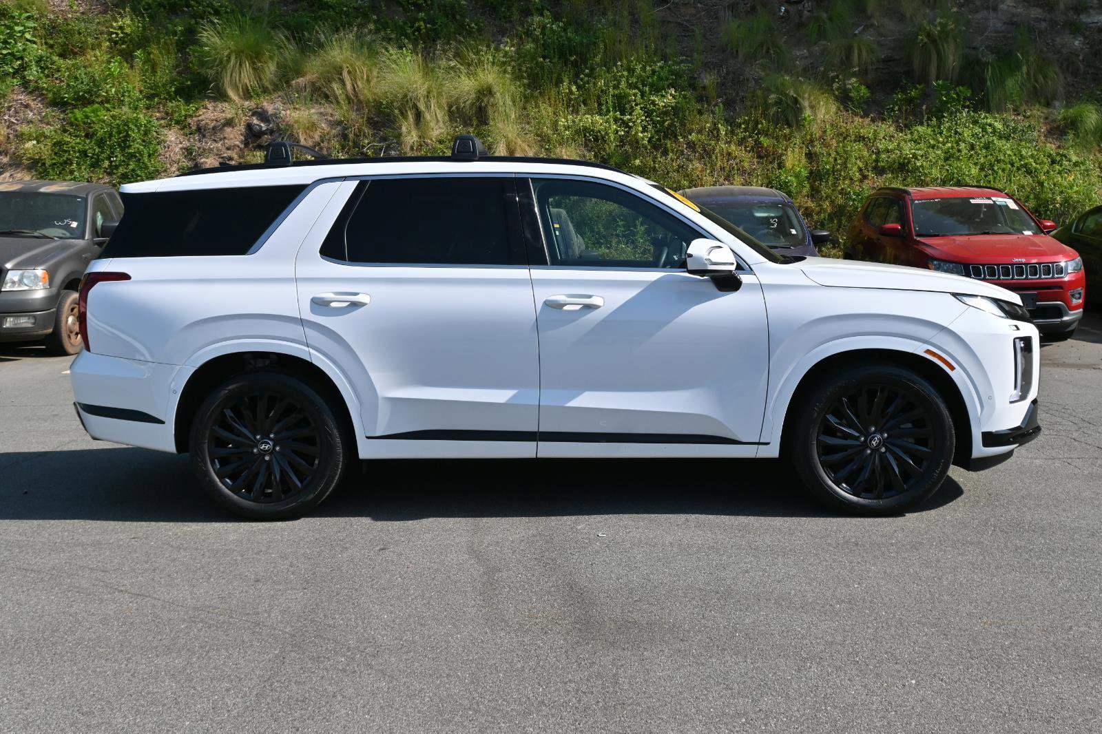 Used 2025 Hyundai Palisade Calligraphy AWD/4WD image 8