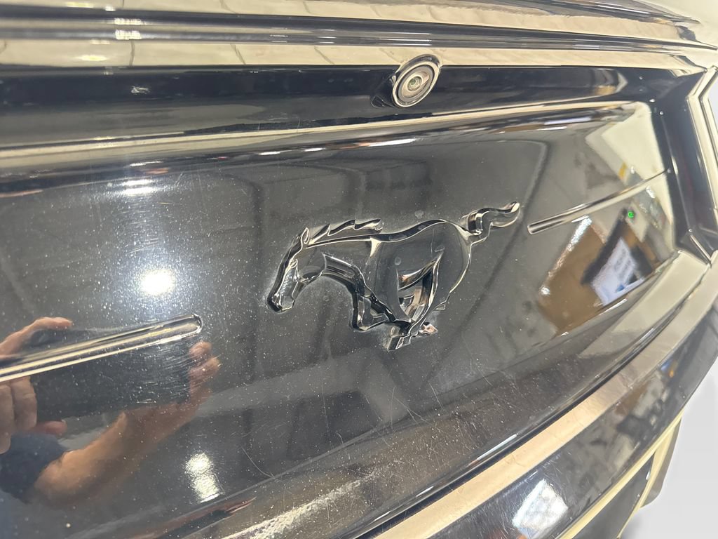 Used 2021 Ford Mustang Premium w/ Equipment Group 201A RWD image 20