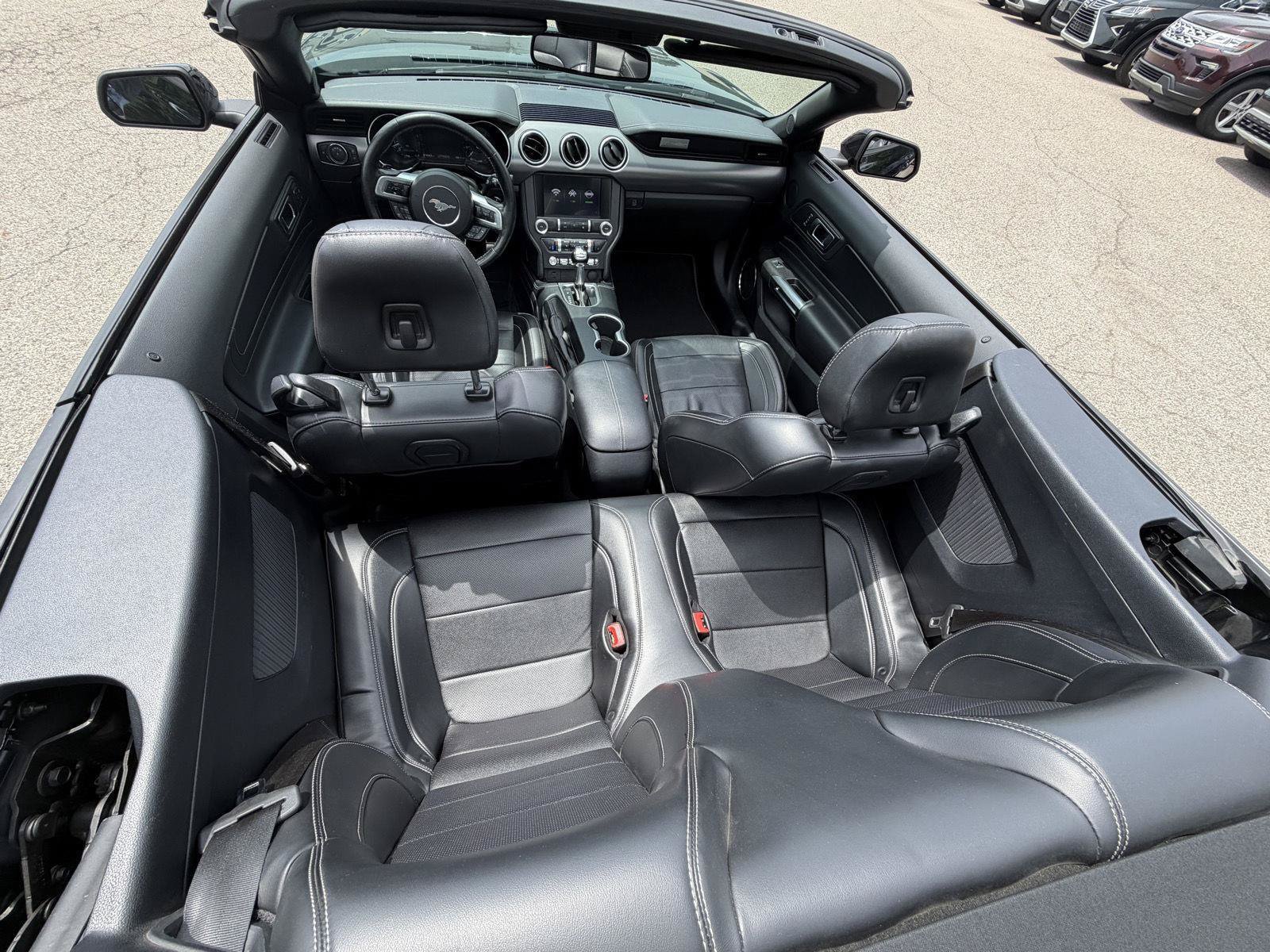 Used 2019 Ford Mustang GT Premium w/ Equipment Group 401A RWD image 9