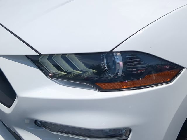 Used 2023 Ford Mustang Premium RWD image 10
