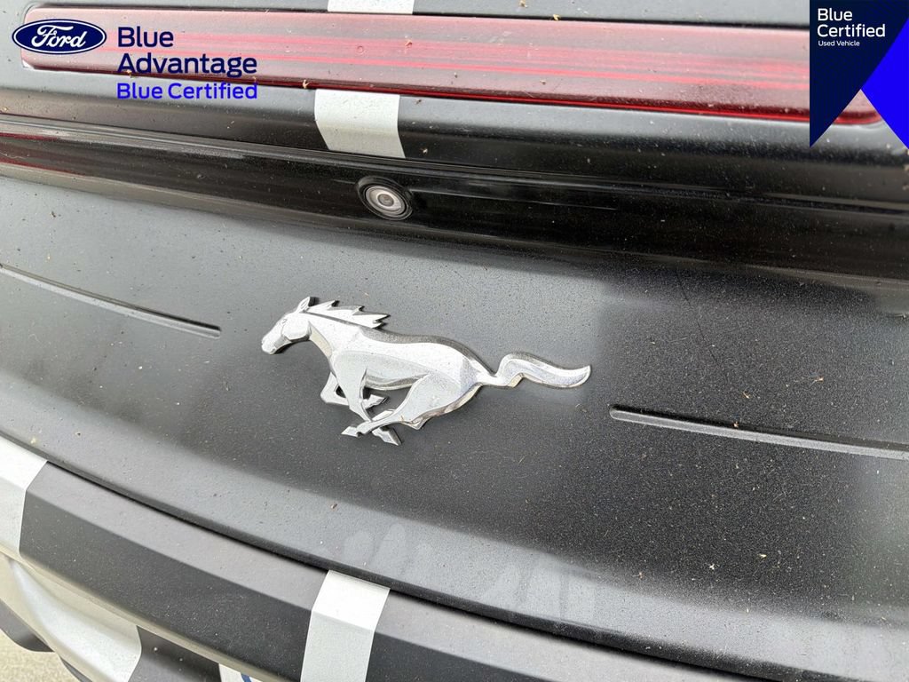 Used 2021 Ford Mustang Premium RWD image 21