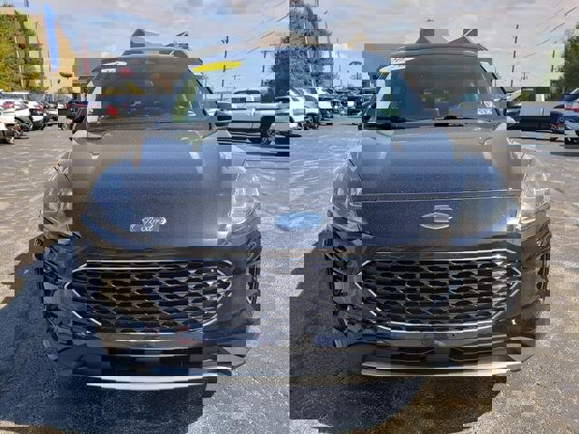 Used 2020 Ford Escape SE image 2