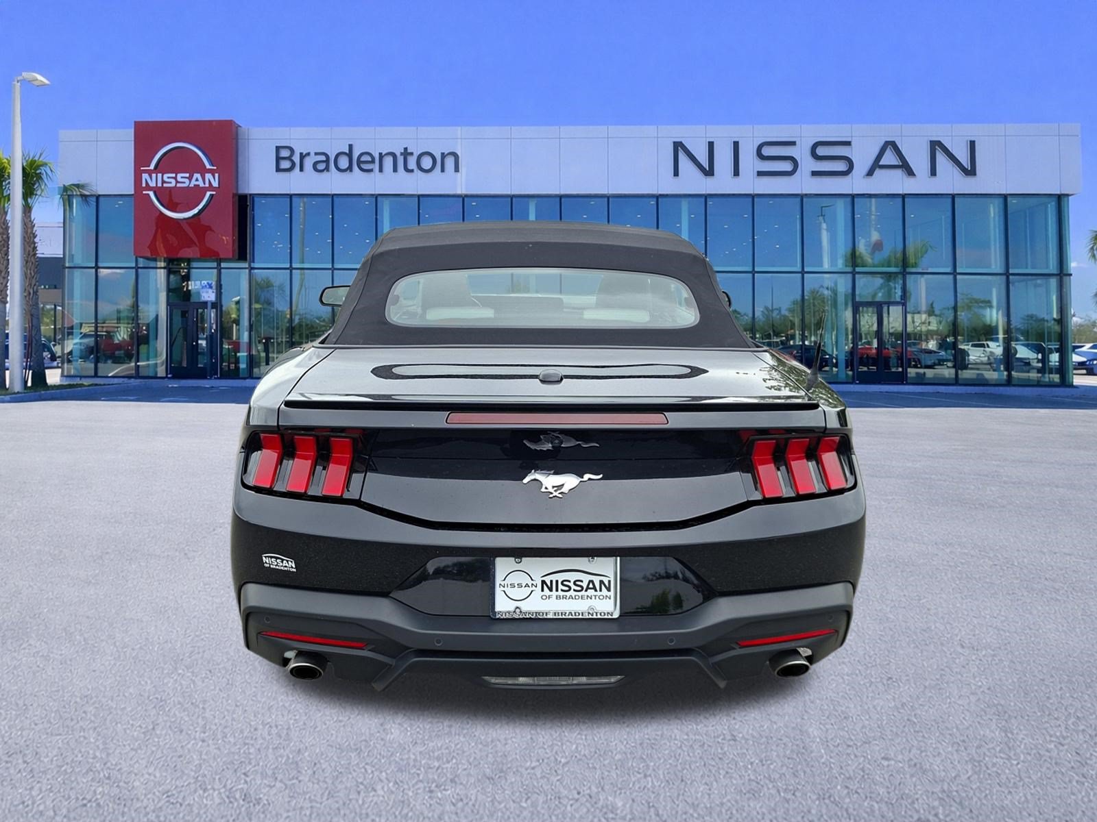 Used 2024 Ford Mustang Premium RWD image 6