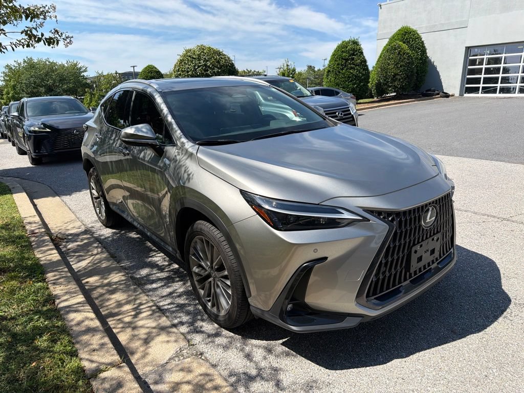 Certified 2026 Lexus NX 350h AWD w/ Cold Area Package image 7