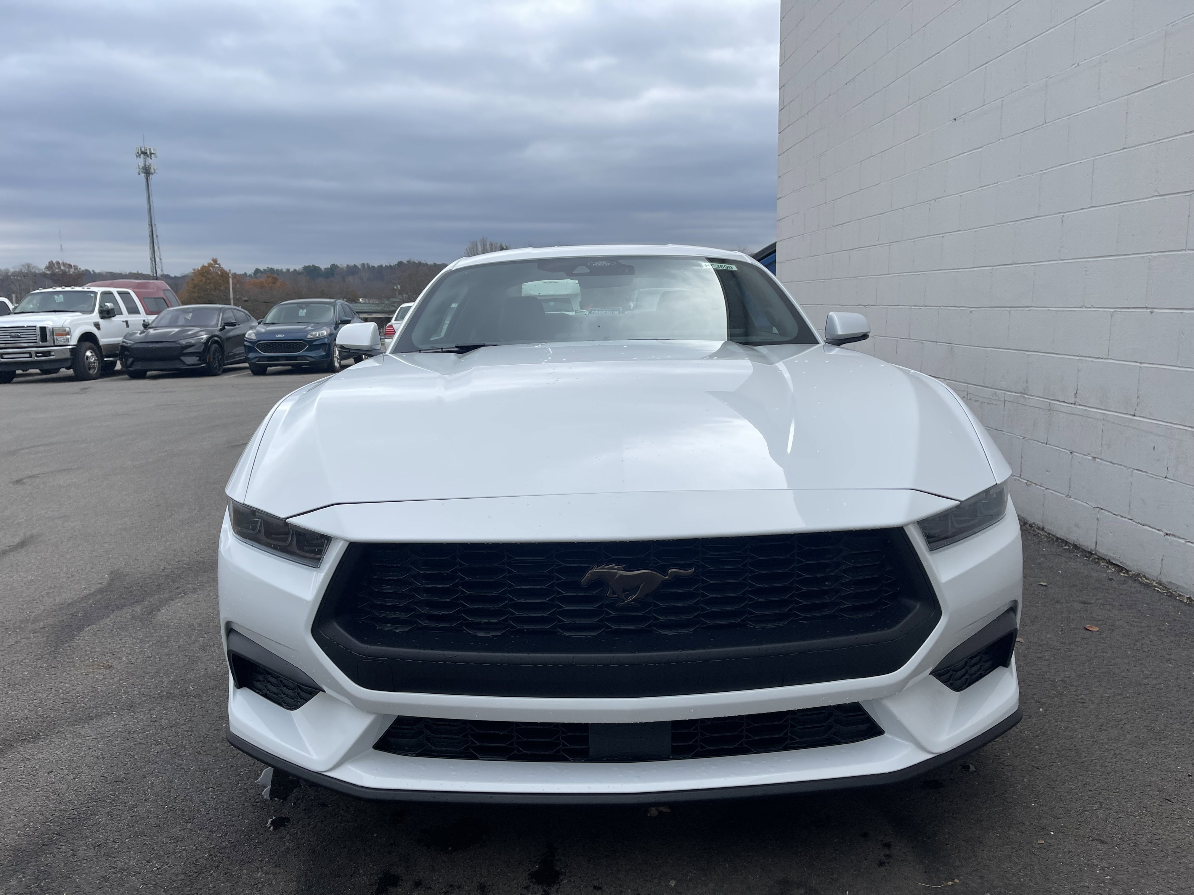 New 2026 Ford Mustang Premium image 3