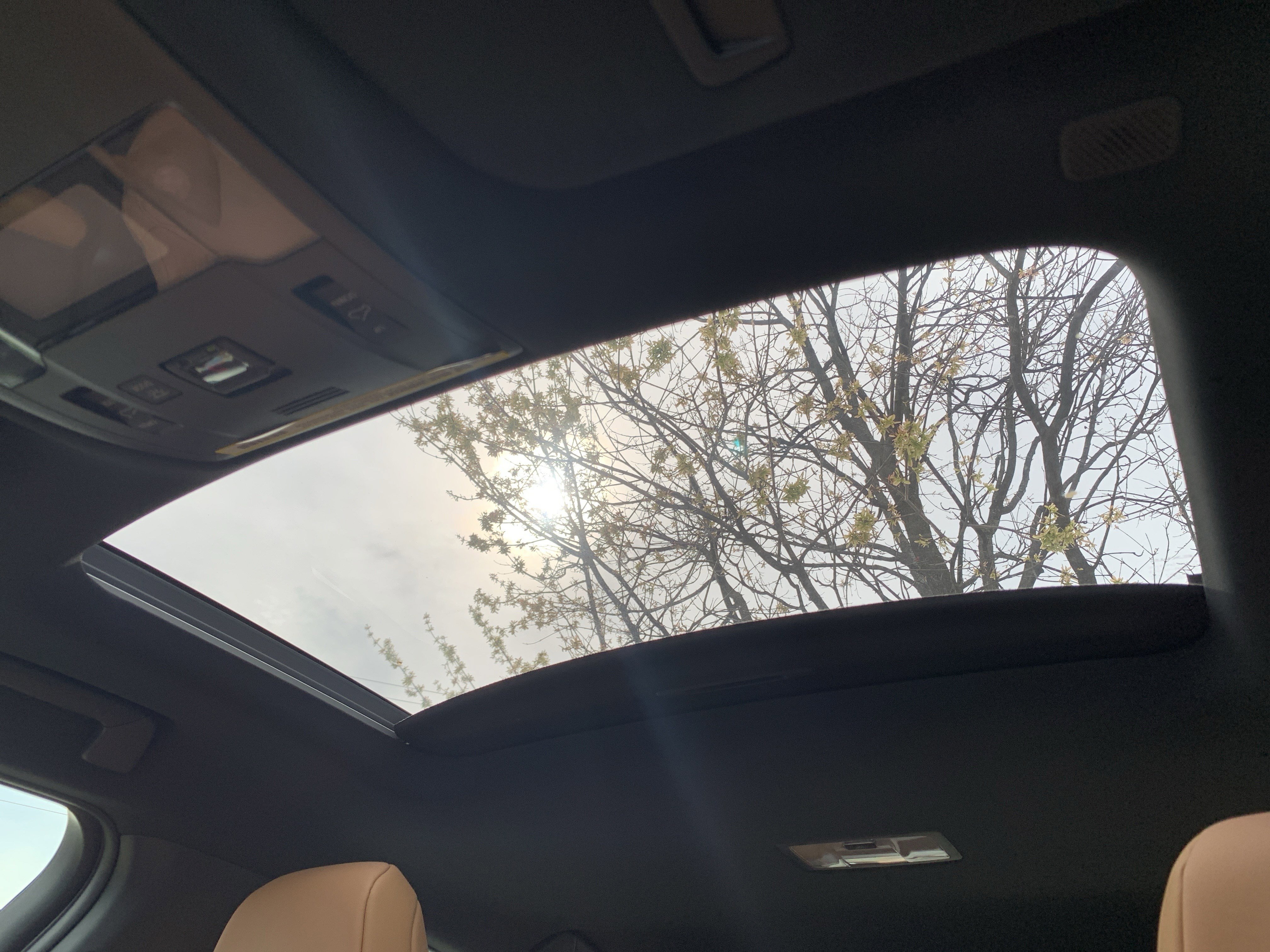 Certified 2025 Lexus UX 300h FWD w/ Cold Area Package image 28