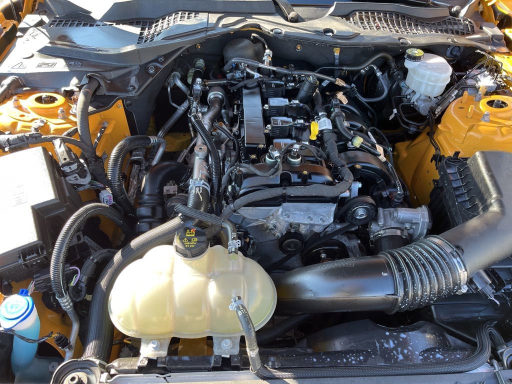 Used 2022 Ford Mustang Coupe w/ Equipment Group 101A image 14