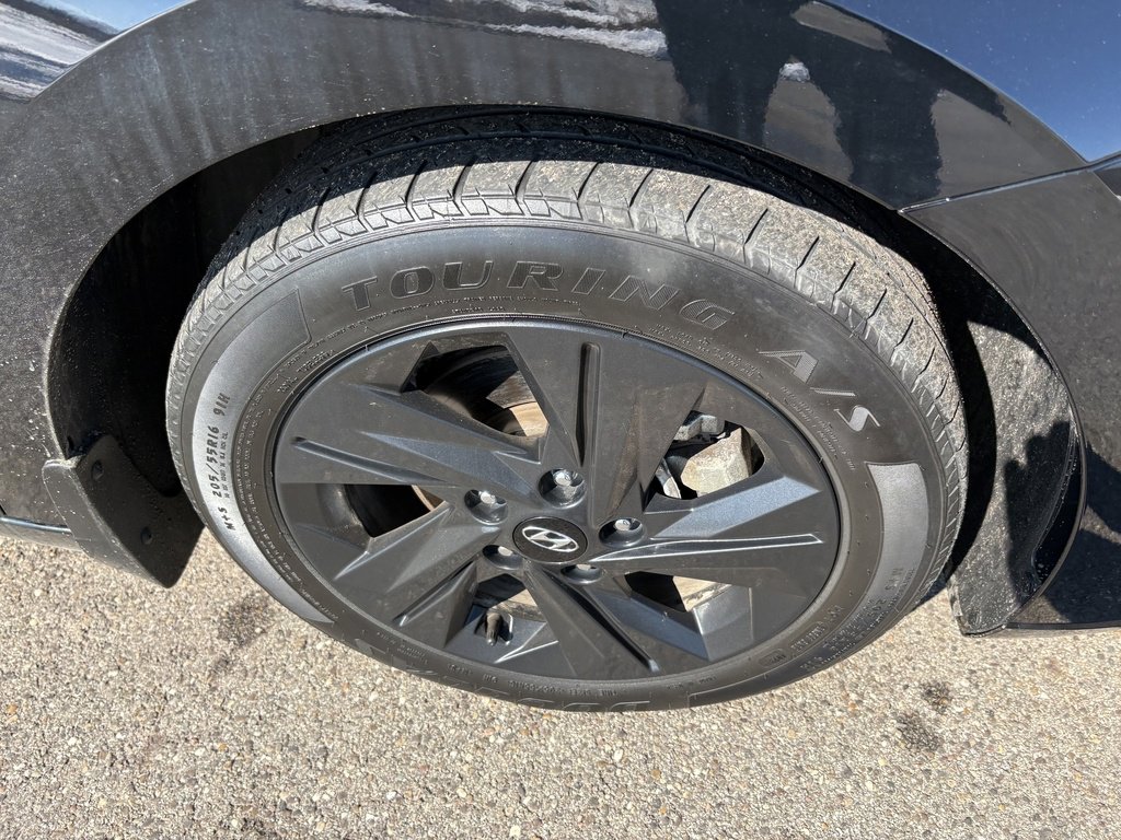 Used 2023 Hyundai Elantra SEL image 12