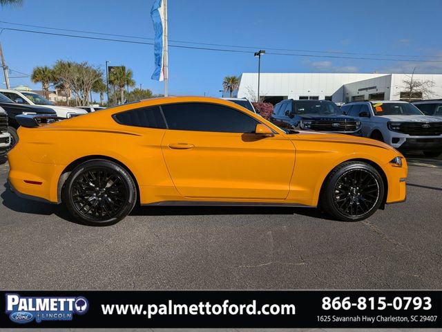 Used 2019 Ford Mustang EcoBoost w/ Equipment Group 101A image 3