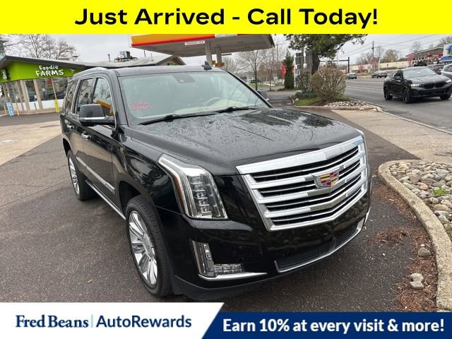 Used 2020 Cadillac Escalade Platinum image 1