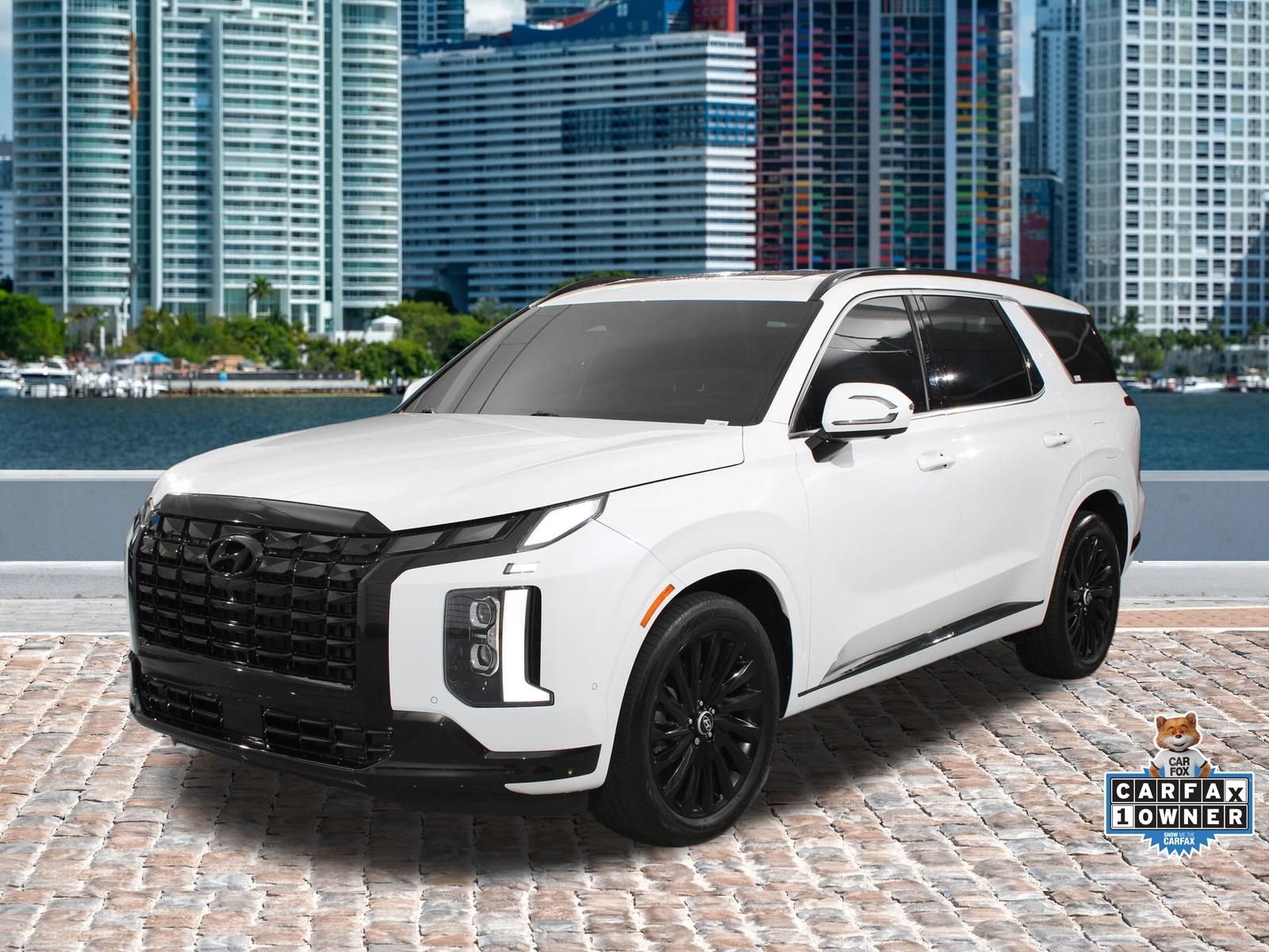 Used 2025 Hyundai Palisade Calligraphy AWD/4WD 360° Tour