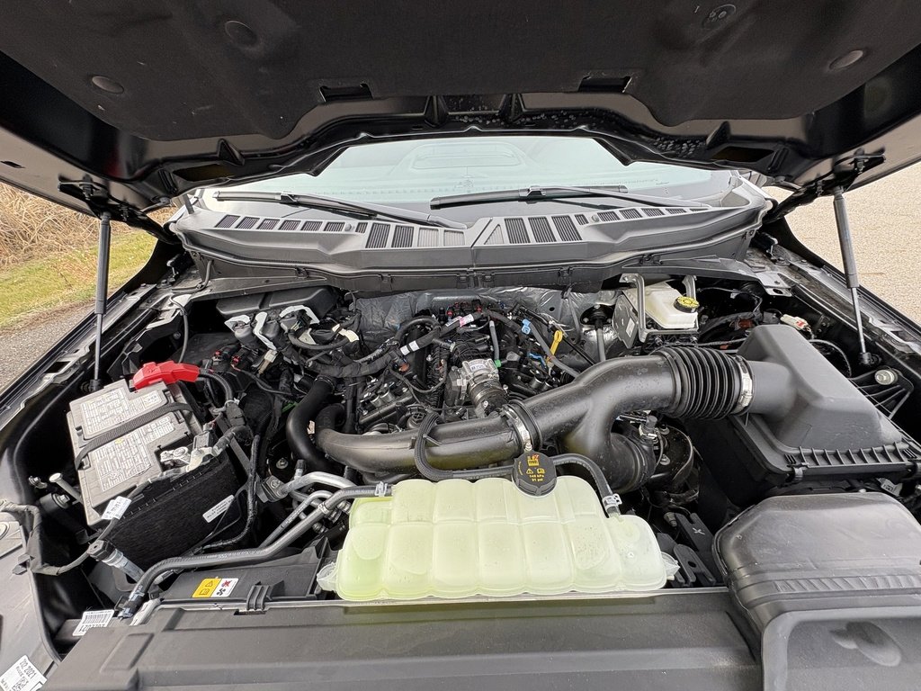 New 2025 Ford F150 XLT w/ Equipment Group 302A MID image 16