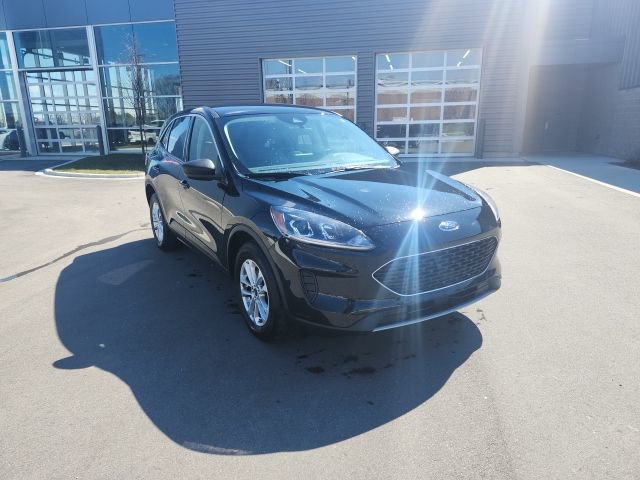 Used 2022 Ford Escape SE w/ Convenience Package image 3